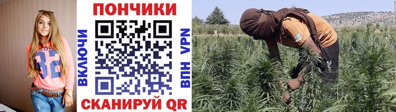 Купить закладку Галлюциногенные грибы Cocaine Меф мяу мяу Каннабис ГАШИШ СК Лакинск