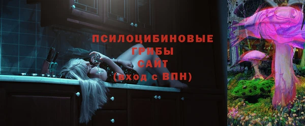 СК Краснослободск